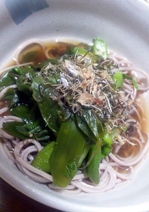 ぶっかけ蕎麦　ねこぶまんま編-レシピのメイン写真