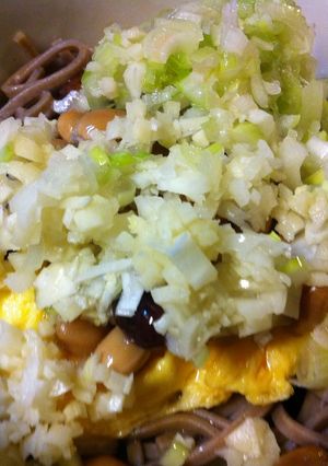 ぶっかけそば２０１１夏Ver.-レシピのメイン写真