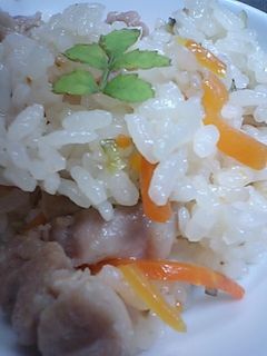 ゴーヤの炊き込みご飯-レシピのメイン写真