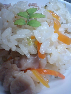 ゴーヤの炊き込みご飯-レシピのメイン写真
