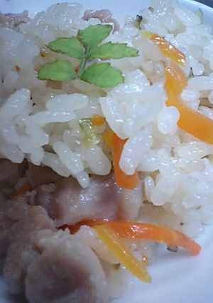ゴーヤの炊き込みご飯-レシピのメイン写真