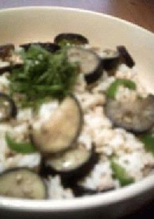 炒飯・なす＋ピーマンの和ｔａｓｔｅ-レシピのメイン写真