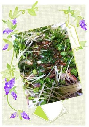 なすのピリ辛夏サラダ-レシピのメイン写真