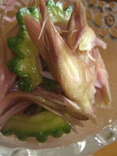 夏の一皿★ゴーヤとみょうがの簡単甘酢漬け-レシピのメイン写真