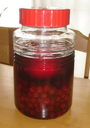 ブラックベリーと桃の果実酒-レシピのメイン写真