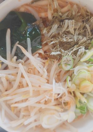 ヘルシー豆乳味噌うどん-レシピのメイン写真