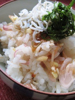 さっぱり☆みょうが梅酢ごはん-レシピのメイン写真