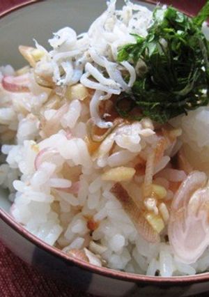 さっぱり☆みょうが梅酢ごはん-レシピのメイン写真