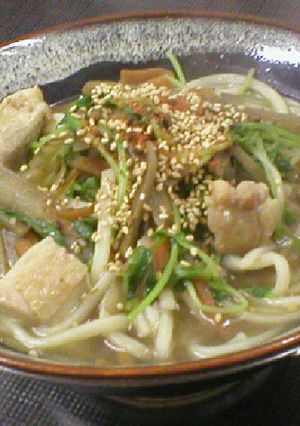 鶏ごぼう煮込みうどん-レシピのメイン写真