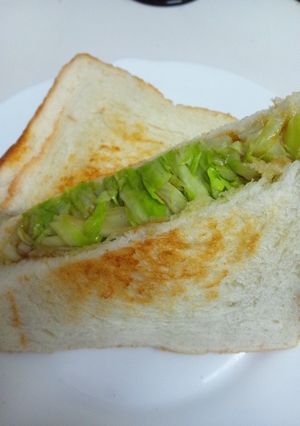 キャベツたっぷりサンド♪-レシピのメイン写真
