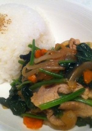 味付け簡単！ほうれん草と豚肉の中華炒め-レシピのメイン写真