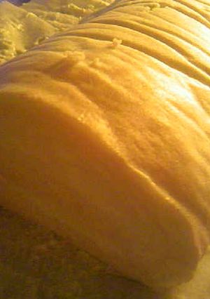 ヨーグルトチーズケーキの生ロールケーキ-レシピのメイン写真