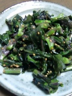 金時草の甘めの胡麻和え-レシピのメイン写真