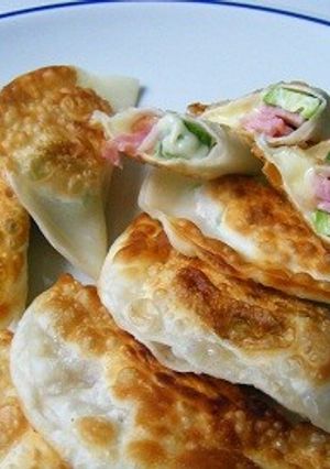 オクラのチーズ餃子-レシピのメイン写真