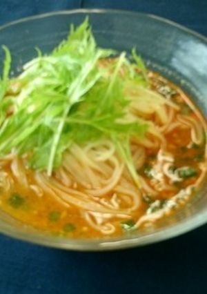 たっぷりゴマの香り！冷やし担々麺-レシピのメイン写真