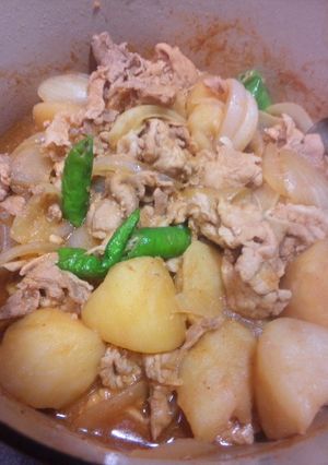変わり肉じゃが-レシピのメイン写真