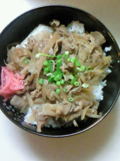ゴボウのだしが美味しい!肉ゴボウ丼-レシピのメイン写真