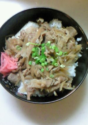 ゴボウのだしが美味しい！肉ゴボウ丼-レシピのメイン写真