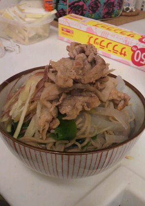 大盛りでもヘルシー麺-レシピのメイン写真