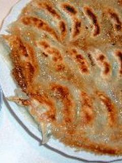 いかとおからの焼き餃子-レシピのメイン写真