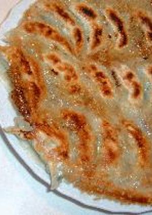 いかとおからの焼き餃子-レシピのメイン写真