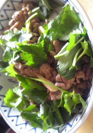 お肉のどぼどぼ丼-レシピのメイン写真