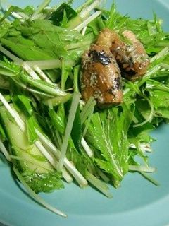 イワシの缶詰で、水菜のサラダ。-レシピのメイン写真