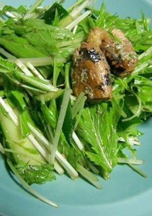 イワシの缶詰で、水菜のサラダ。-レシピのメイン写真