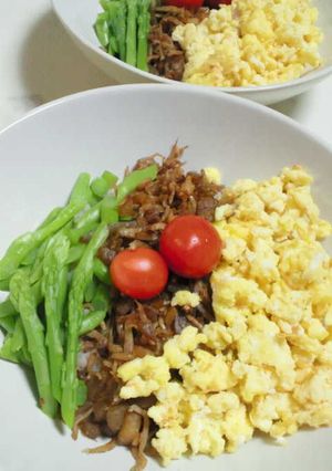 かわりだねの三色丼-レシピのメイン写真
