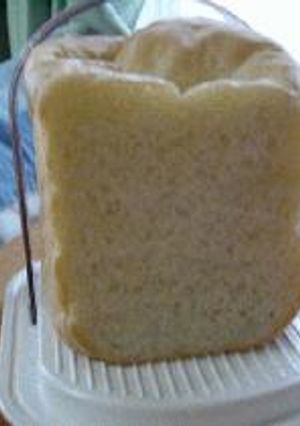 パネトーネマザーで作ったパン-レシピのメイン写真
