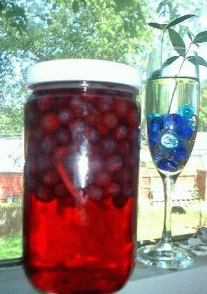 果実酒*Blueberry Rum-レシピのメイン写真