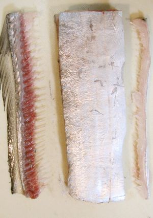 食べやすい♪タチウオの骨抜き！-レシピのメイン写真