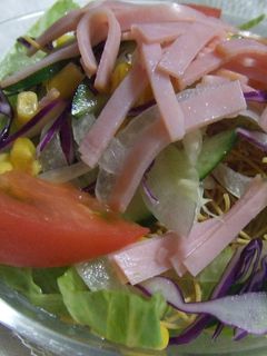 パリパリ野菜サラダ-レシピのメイン写真