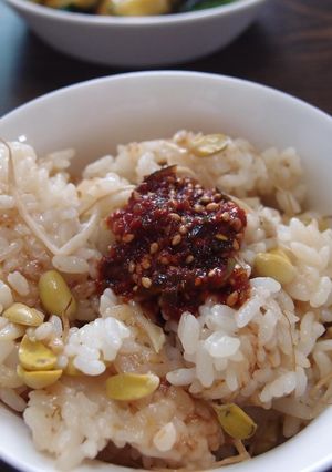 もやしごはん・コンナムルパブ☆韓国料理♪-レシピのメイン写真