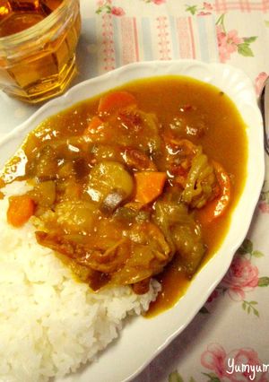 薄切り肉とナスのカレー・我が家流-レシピのメイン写真
