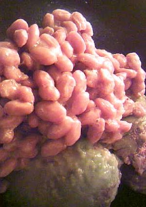 納豆とアボカドの醤油昆布茶わさび和え-レシピのメイン写真