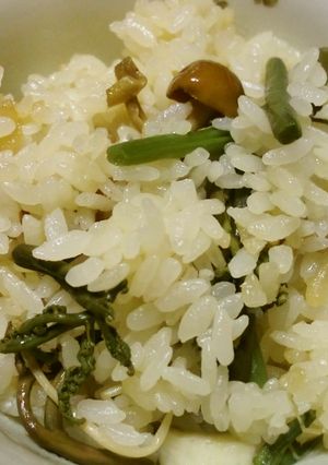 1:1:1で山菜ごはん♪-レシピのメイン写真