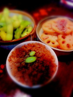 簡単でおいしい肉そぼろ*-レシピのメイン写真