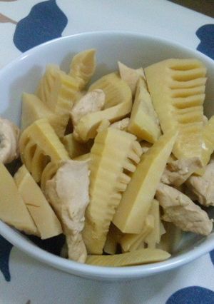 簡単☆鶏肉と筍の煮物-レシピのメイン写真