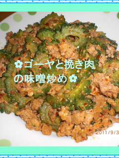 ✿ゴーヤと挽き肉の味噌炒め✿-レシピのメイン写真