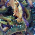 ヘルシー☆ゴーヤと茄子の豆板醤炒め