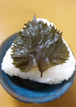 簡単しその塩漬け(保存食・お弁当にも)-レシピのメイン写真
