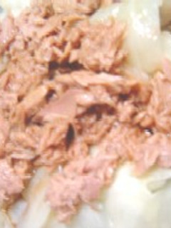 簡単すぎるツナきゃべつ-レシピのメイン写真