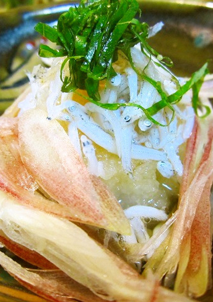 茗荷とちりめんじゃこのおろしポン酢-レシピのメイン写真