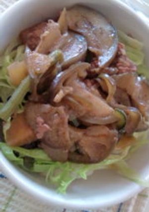 あまり物で★マーボー茄子丼-レシピのメイン写真