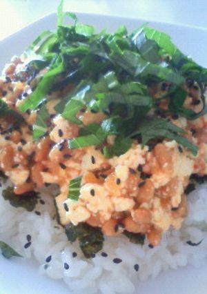 キムチ味の豆腐納豆丼-レシピのメイン写真