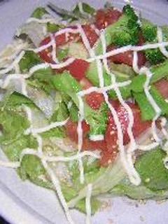 サラダそうめん-レシピのメイン写真