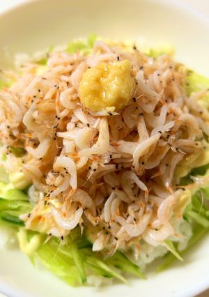釜揚げ小エビの丼-レシピのメイン写真