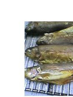 虹鱒の燻製-レシピのメイン写真