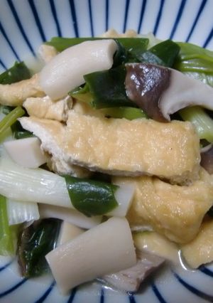 ネギと薄揚げの煮物-レシピのメイン写真